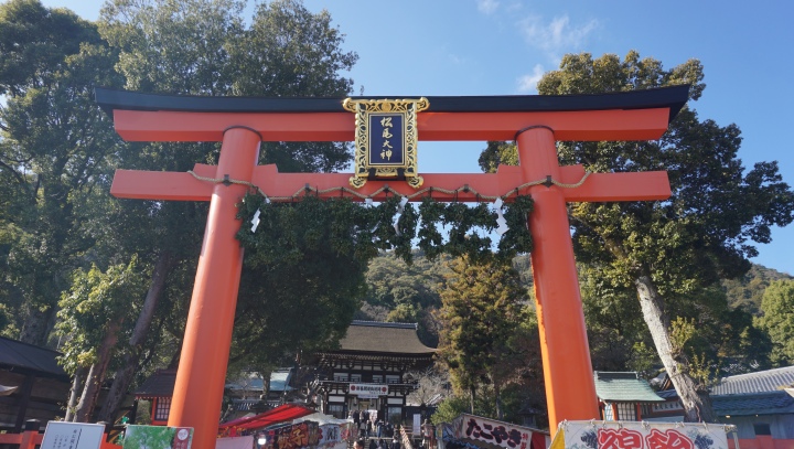 Famous shinto shrines with Sake